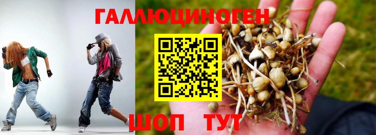Псилоцибиновые грибы ЛСД Севастополь